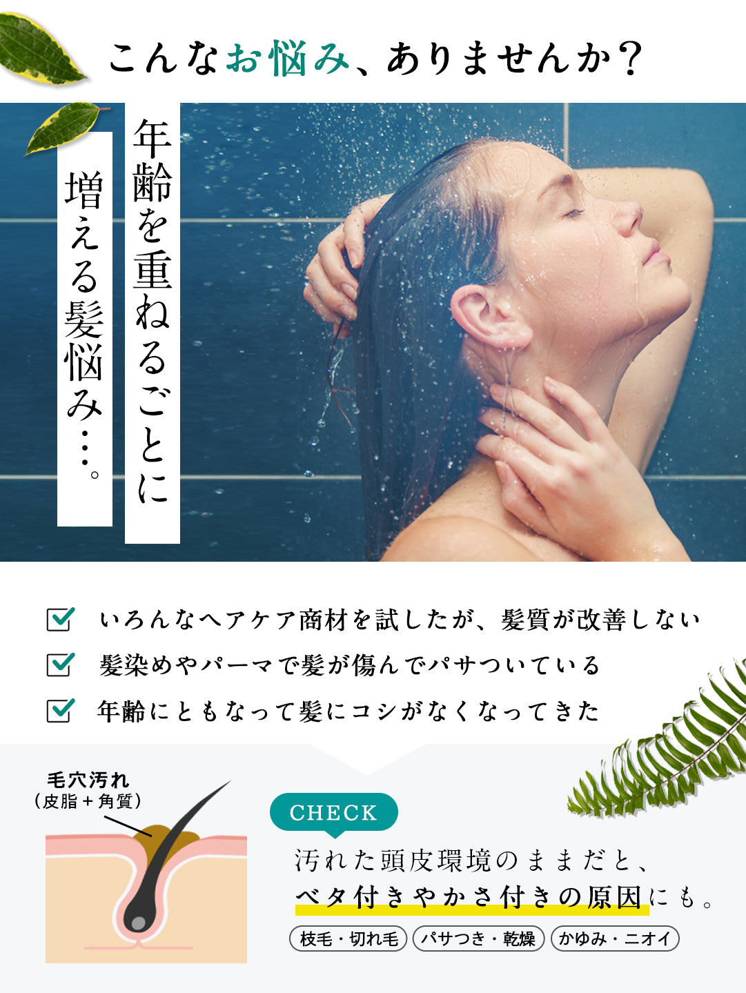 【ELDE ORGANIC】シャンプー500ml トリートメント500g ヘアマスク180g 3点セット