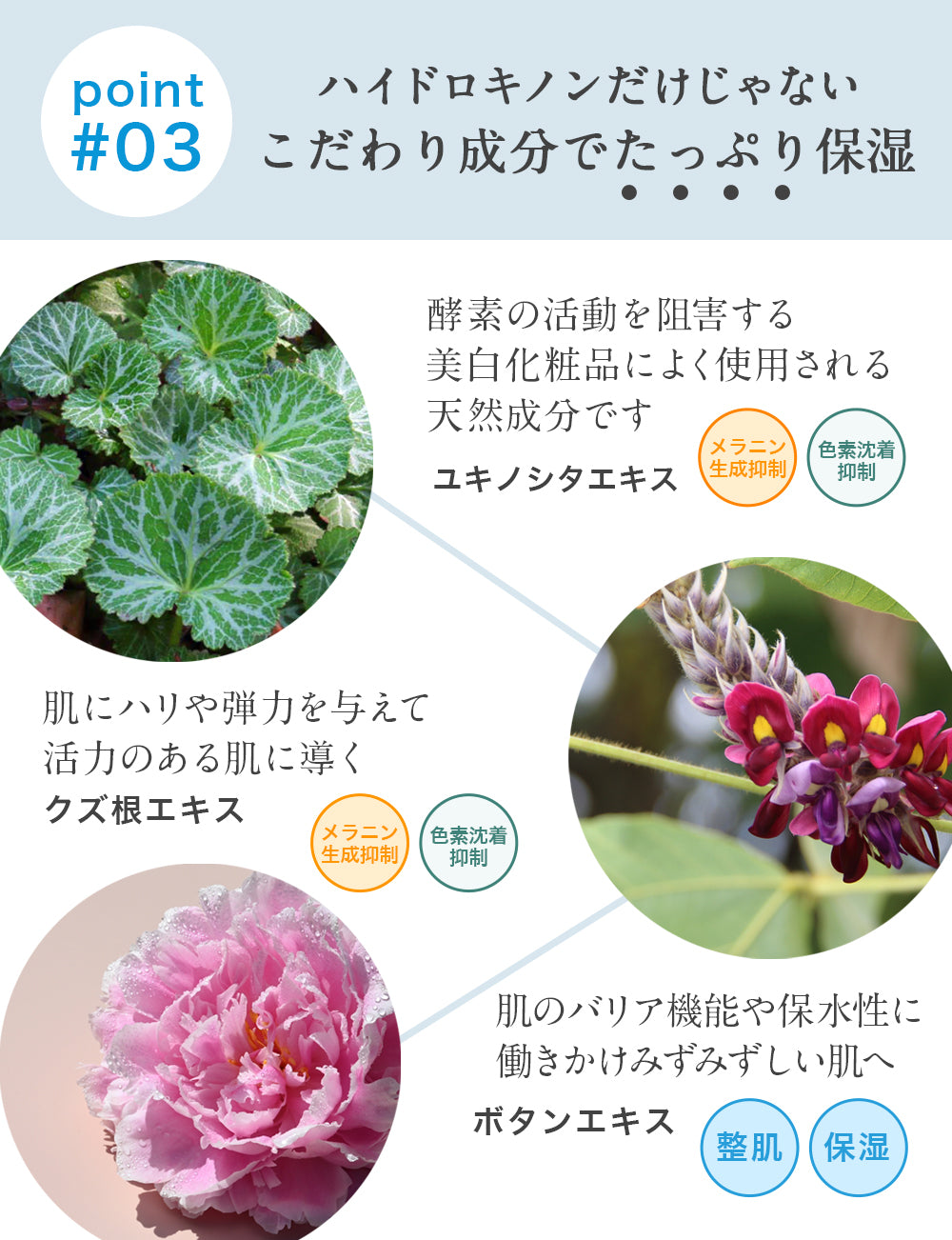 【スノーラッシュ】 ハイドロキノンクリーム10g 3本セット