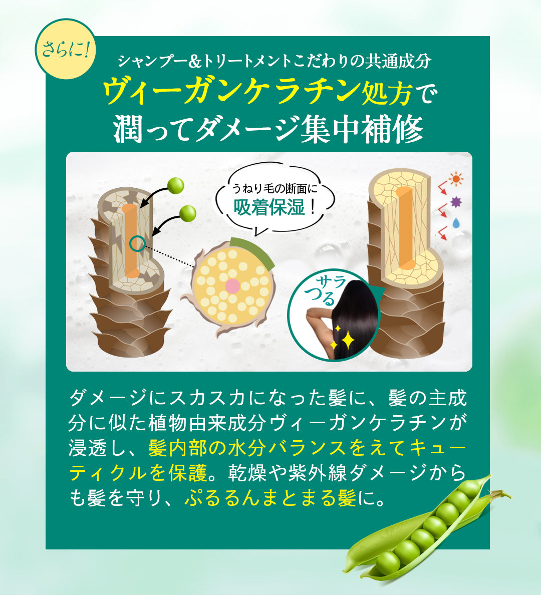 【ELDE ORGANIC】シャンプー500ml トリートメント500g ヘアマスク180g 3点セット